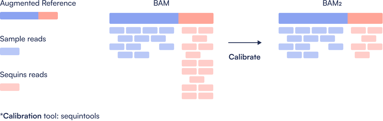 Bioinformatics workflow step showing calibration of Sequins reads using the SEP2 pipeline.